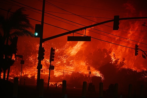 felaket onlari da vurdu los angeles yangininda beren saat ve kenan dogulunun milyon dolarlik H7HEqFwU