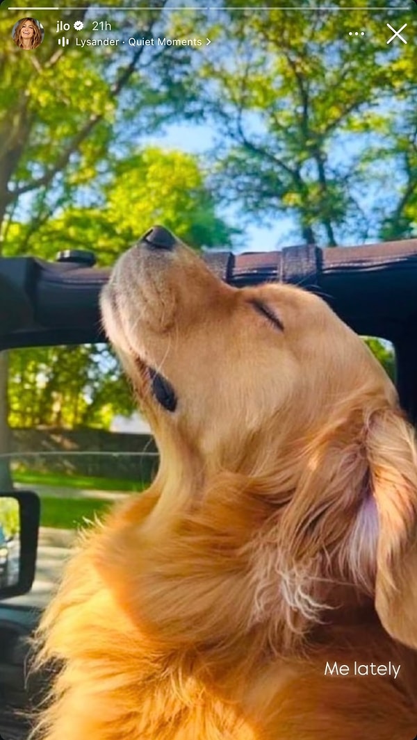 jennerin kopeginden ders calisan madonnaya 25 ocakta yabanci unlulerin instagram paylasimlari 1 JYZWigpH