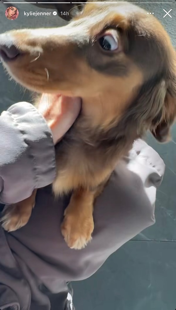 jennerin kopeginden ders calisan madonnaya 25 ocakta yabanci unlulerin instagram paylasimlari 17 BBsCMekJ