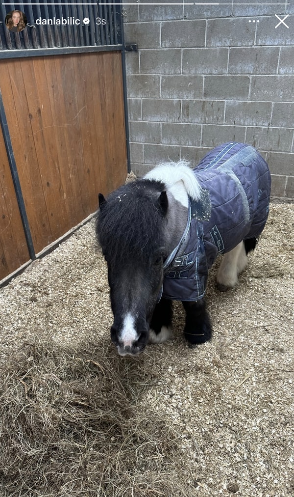 Nazlı Sabancı Kızını Gösterdi, Elvin Kalp Ameliyatı Geçirdi: 25 Ocak'ta Ünlülerin Instagram Paylaşımları 20 nazli sabanci kizini gosterdi elvin kalp ameliyati gecirdi 25 ocakta unlulerin instagram paylasimlari 19 kbls1SL4