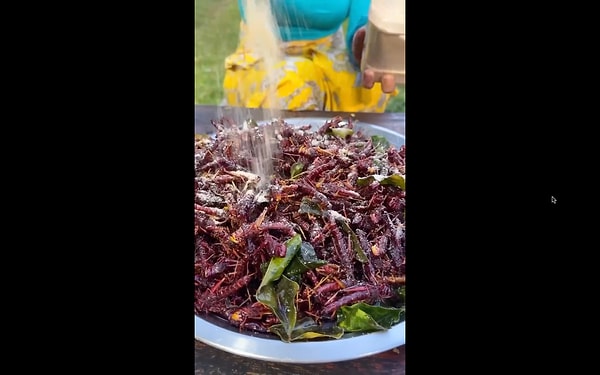 yemek hareket ediyor bir kadin cekirgelerin canli canli pisirildigi yemegin tarifini paylasti 3 6mMd3EHZ