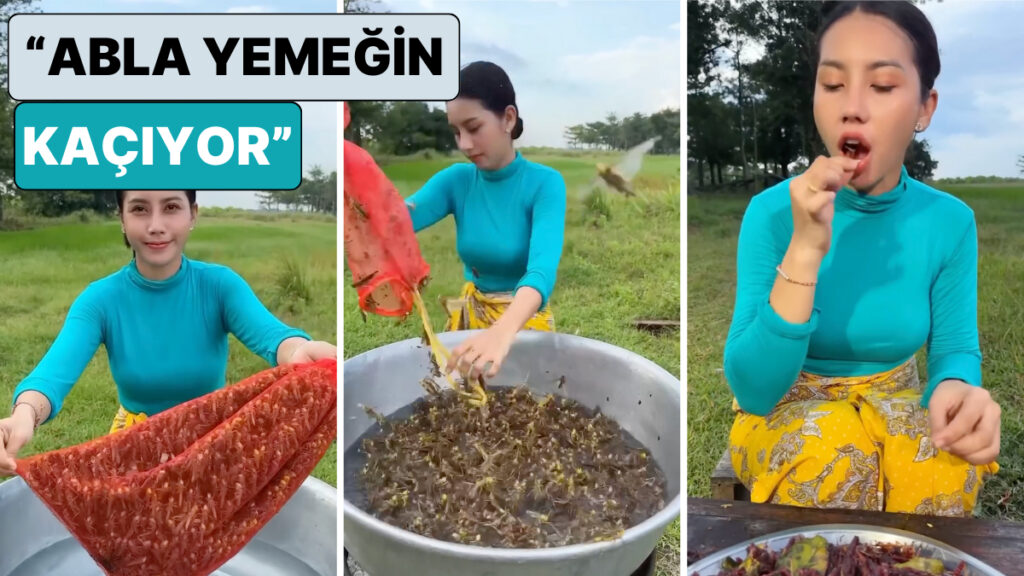 yemek hareket ediyor bir kadin cekirgelerin canli canli pisirildigi yemegin tarifini paylasti 3FJhW85Y