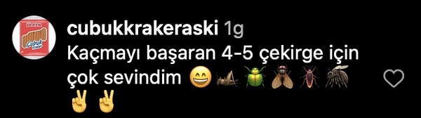 yemek hareket ediyor bir kadin cekirgelerin canli canli pisirildigi yemegin tarifini paylasti 7 MvY59CRK