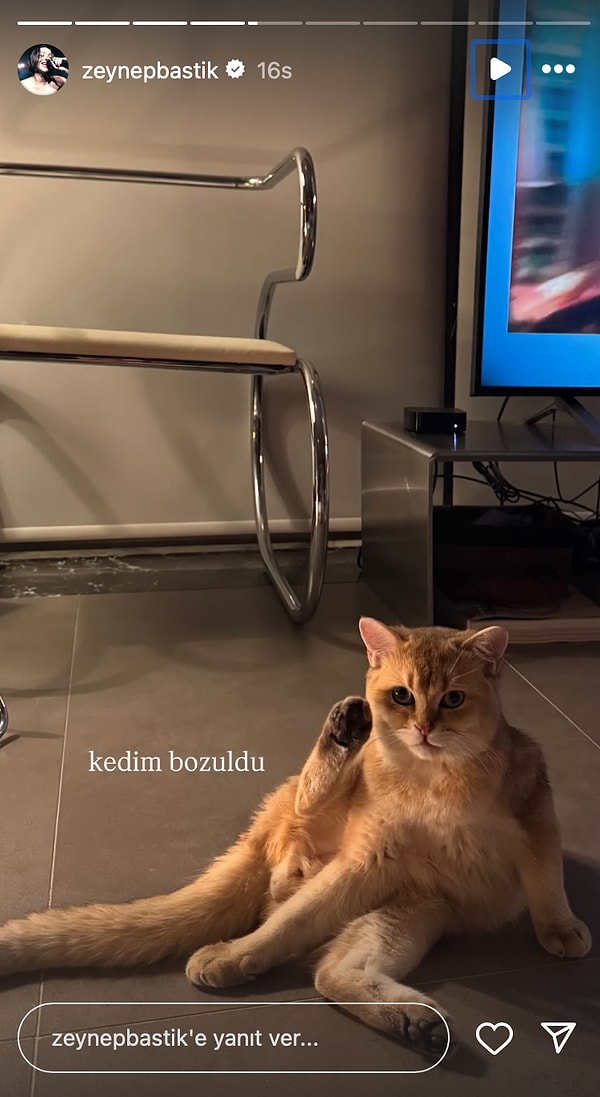 Ceylan'ın Yer Sofrasından Özge Özpirinçci'nin Güzel Kızı Mercan'a: 1 Mart'ta Ünlülerin Instagram Paylaşımları 1 ceylanin yer sofrasindan ozge ozpirinccinin guzel kizi mercana 1 martta unlulerin instagram paylasimlari 0
