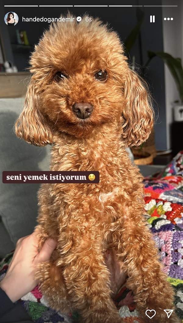 İrem Derici'nin Kuaför Sabrından Merve Boluğur'un Martılı Pozuna 3 Mart'ta Ünlülerin Instagram Paylaşımları 10 irem dericinin kuafor sabrindan merve bolugurun martili pozuna 3 martta unlulerin instagram paylasimlari 9 9Aavjg5i