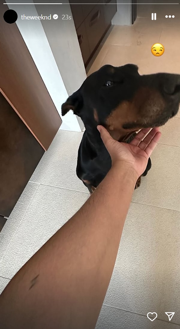 Karısının Elinden Pasta Üfleyen Justin'den İştahlı Dua'ya 2 Mart'ta Yabancı Ünlülerin Instagram Paylaşımları 6 karisinin elinden pasta ufleyen justinden istahli duaya 2 martta yabanci unlulerin instagram paylasimlari 5 VwNnitep