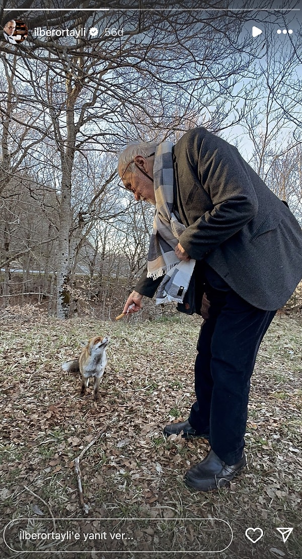 Nilsu Aktaş'ın Mutarra'sından İlber Ortaylı'nın Kedisine 28 Mart'ta Ünlülerin Instagram Hikayeleri 12 nilsu aktasin mutarrasindan ilber ortaylinin kedisine 28 martta unlulerin instagram hikayeleri 11 6FPieudX