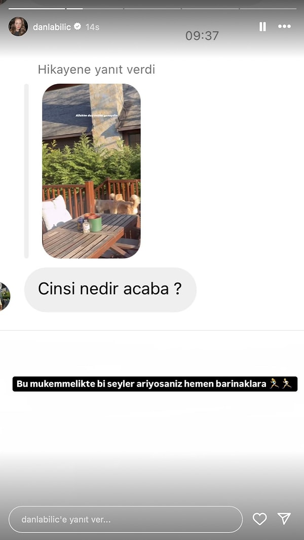 Ortalığı Ayağa Kaldıran Hande Erçel'den Minik Şapşal Tatlıses'e 5 Mart'ta Ünlülerin Instagram Paylaşımları 7 ortaligi ayaga kaldiran hande ercelden minik sapsal tatlisese 5 martta unlulerin instagram paylasimlari 6 EzwHsVWY