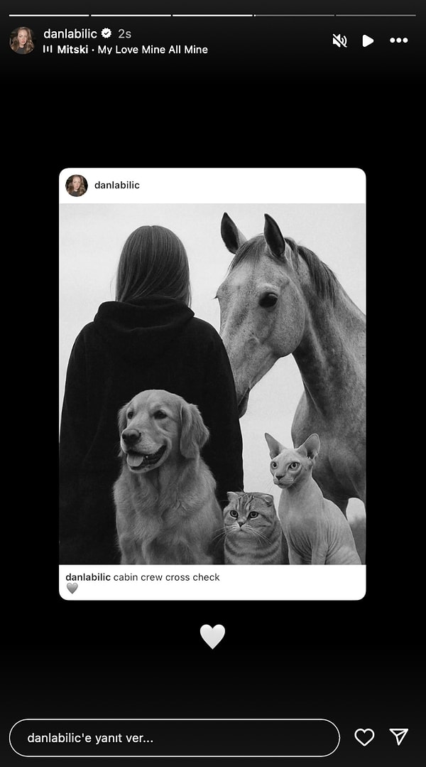 Cemal Can Coachella'ya Gitti, Şevval Şahin Çoraplarını Gösterdi: 14 Nisan'da Ünlülerin Instagram Hikayeleri 9 cemal can coachellaya gitti sevval sahin coraplarini gosterdi 14 nisanda unlulerin instagram hikayeleri 8