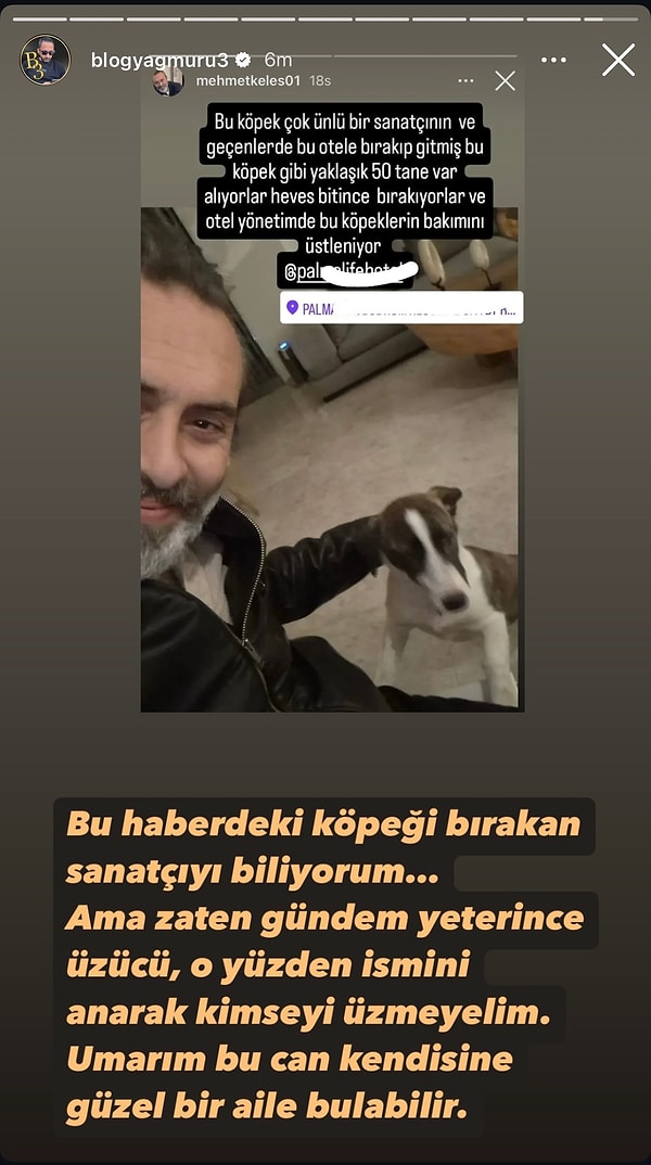 Hadise Köpeğini Otelde Bırakıp Gittiği Yönündeki İddiaları Yaptığı Açıklama ile Yalanladı! 1 hadise kopegini otelde birakip gittigi yonundeki iddialari yaptigi aciklama ile yalanladi 0 KnhK8D8z