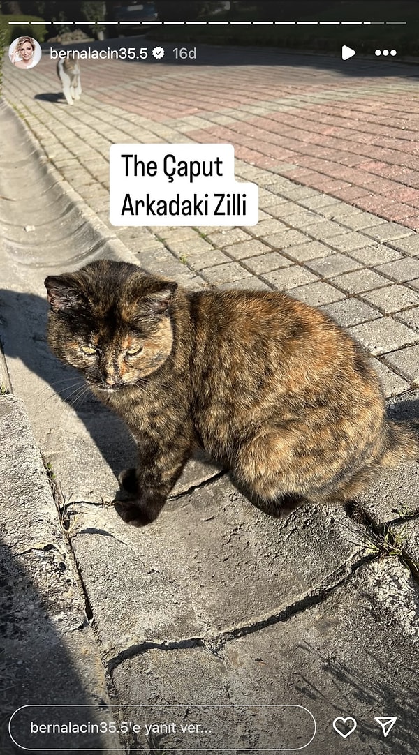 Kırlar İçindeki Hazar Ergüçlü'den Tatildeki Zeynep Alkan'a 4 Nisan'da Ünlülerin Instagram Hikayeleri 14 kirlar icindeki hazar ergucluden tatildeki zeynep alkana 4 nisanda unlulerin instagram hikayeleri 13 g2WJfM6Z