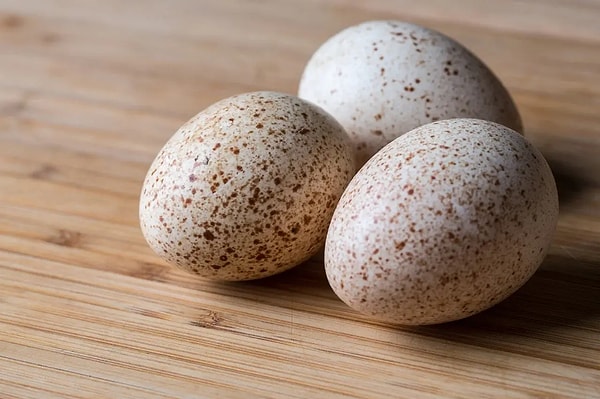 Marketlerde Tavuk ve Bıldırcın Yumurtası Varken Hindi Yumurtası Neden Yok? 3 marketlerde tavuk ve bildircin yumurtasi varken hindi yumurtasi neden yok 2 ffOg4VJc