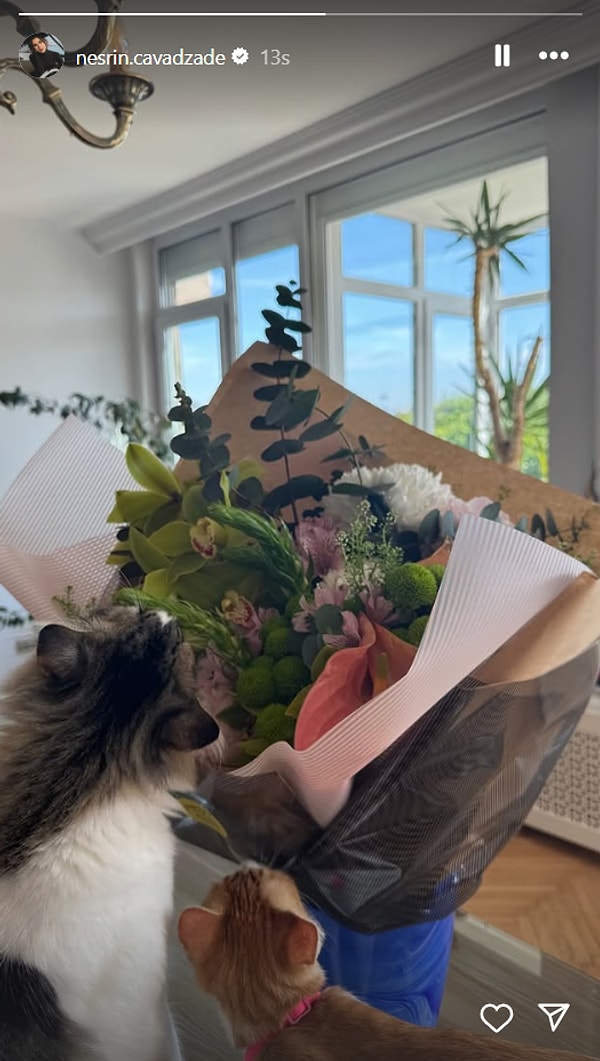 nesrin cavadzadenin ciceklerinden partileyen afra saracogluna 22 nisanda unlulerin instagram hikayeleri 0 OeOdQG8P