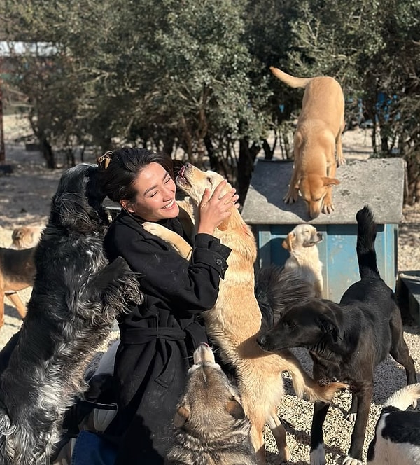 TRT'deki Dizisinden Çıkarılan Aybüke Pusat'ın Hayvanlar İçin Oluşturduğu Kampanyaya Bağış Yağmuru! 2 trtdeki dizisinden cikarilan aybuke pusatin hayvanlar icin olusturdugu kampanyaya bagis yagmuru 1 pX6kbhHw