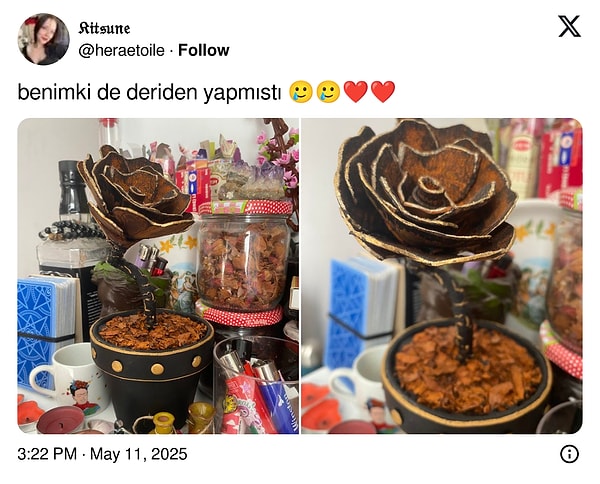 hafiften kiskandik polen alerjisi olan sevgilisine cicek alamadigi icin romantik bir cozum ureten kullanici lPWNrRym