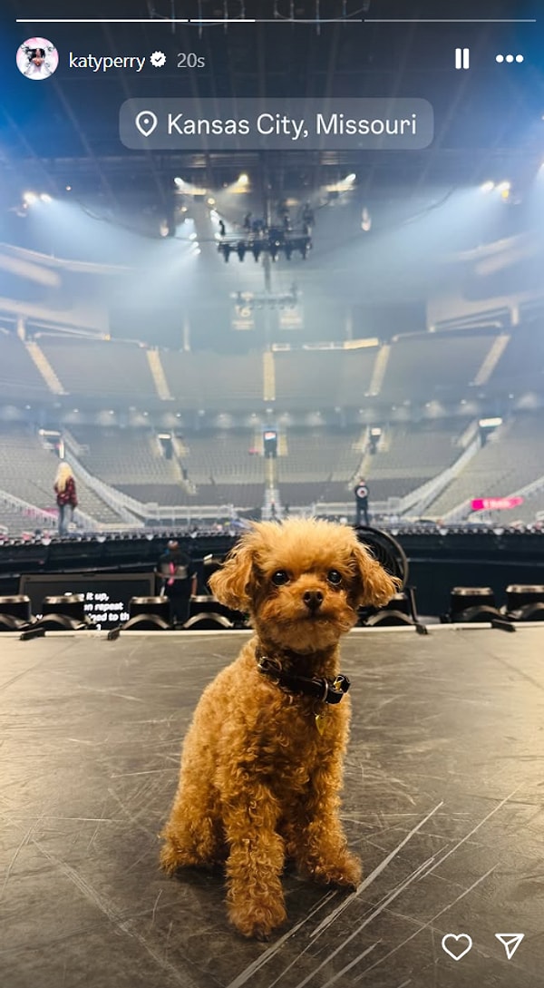 haileyin cool anne havalarindan esterin klip denemesine 11 mayista yabanci unlulerin instagram hikayeleri 5 5KU5q2a2