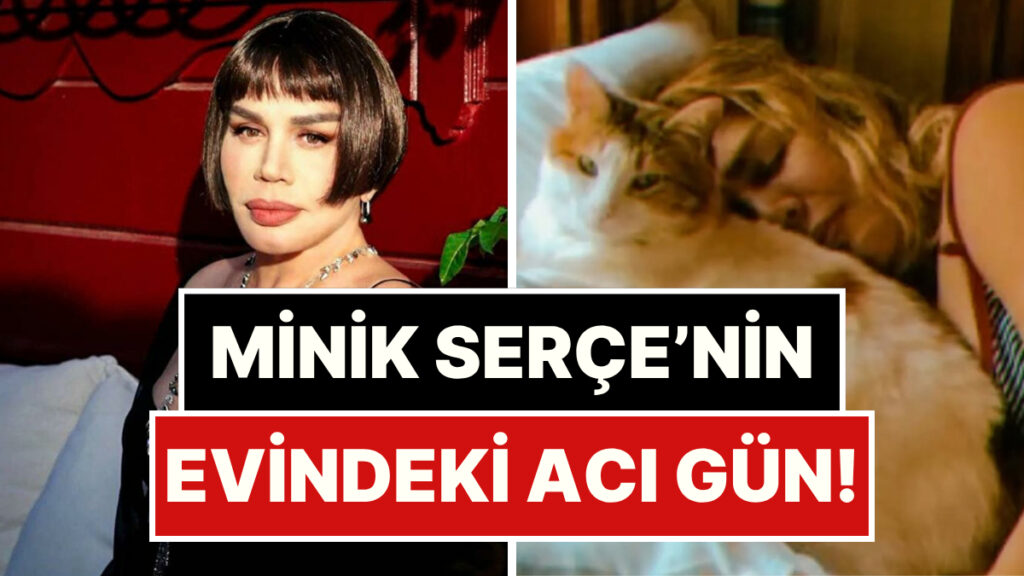 albumun basarisina sevinememis bile pasa gonlunden geceni soyleyen sezen aksunun evindeki aci gun MtyJXqku