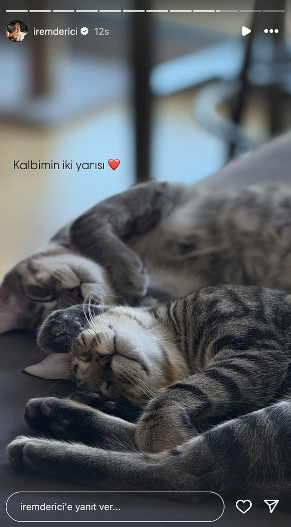 Çağla Altunkaya'nın Pastasından Alina Boz'un 5 Valizli Tatiline 3 Temmuz'da Ünlülerin Instagram Hikayeleri 6 cagla altunkayanin pastasindan alina bozun 5 valizli tatiline 3 temmuzda unlulerin instagram hikayeleri 5