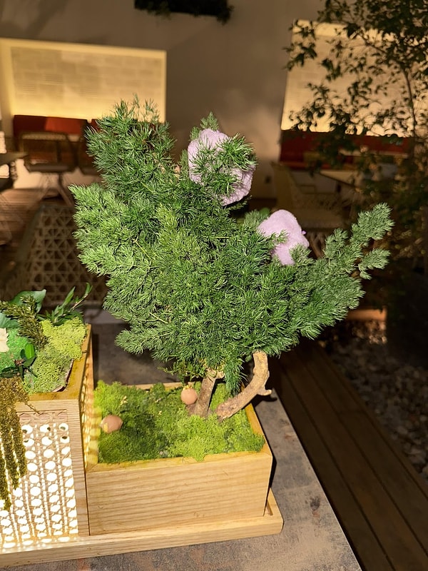 Lüks ve Pahalı Restoranların Masaya Geldiğinde Hayatı Sorgulatacak Göz Kanatan Sunumları 4 luks ve pahali restoranlarin masaya geldiginde hayati sorgulatacak goz kanatan sunumlari 3 BQZqZv2M