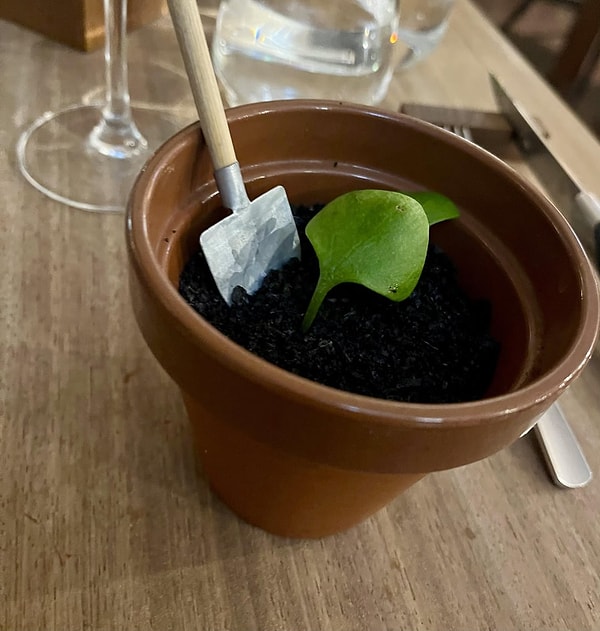 Lüks ve Pahalı Restoranların Masaya Geldiğinde Hayatı Sorgulatacak Göz Kanatan Sunumları 8 luks ve pahali restoranlarin masaya geldiginde hayati sorgulatacak goz kanatan sunumlari 7 F9ArAItm
