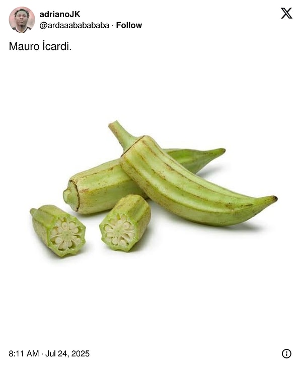 natasha rey tarafindan icardiye ait oldugu iddia edilen cinsel organ goruntusu dillere fena dustu rQprIbgC