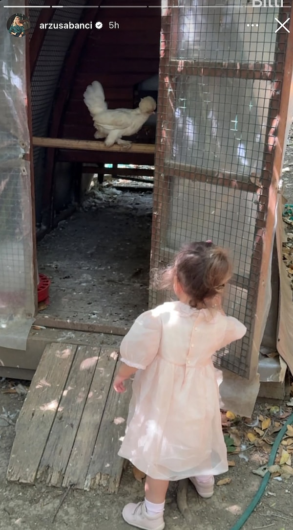 Saba Tümer'in Leopar Aşkından Sinem Ünsal'in Bikinili Pozuna 17 Temmuz'da Ünlülerin Instagram Hikayeleri 4 saba tumerin leopar askindan sinem unsalin bikinili pozuna 17 temmuzda unlulerin instagram hikayeleri 3 tYMqbTZd