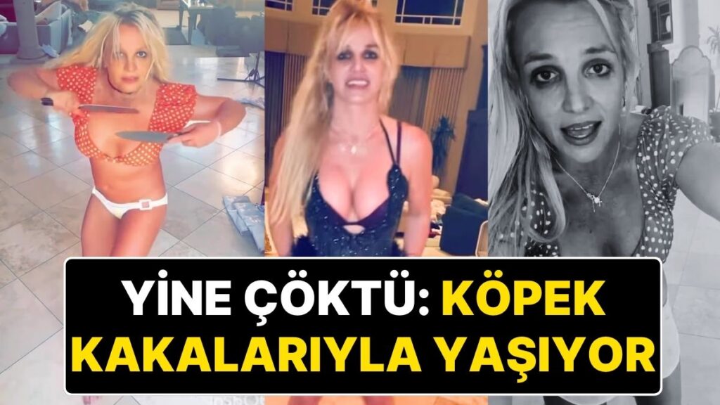 Dünyaca Ünlü Şarkıcı Britney Spears Yine Çöküşe Geçti: Evi Köpek Kakalarıyla Dolu! 4 dunyaca unlu sarkici britney spears yine cokuse gecti evi kopek kakalariyla dolu tbXiBn9f