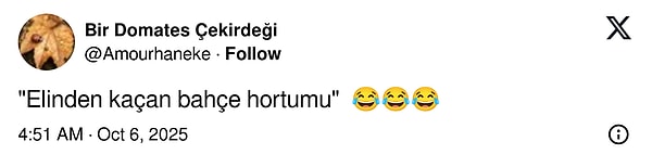 kafasini son hiz dondurup saclarini savuran oryantal didemin dansi sosyal medyada alay konusu oldu Jf9J8ryY