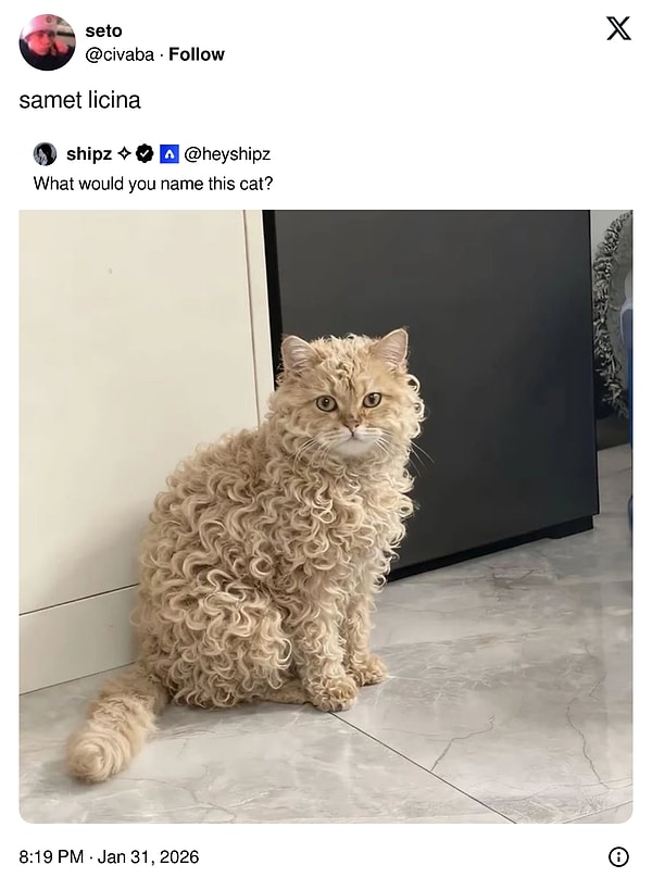 bir hafta boyunca unluleri mizahina alet ederek gulduren x kullanicilari 11 hBsavdns